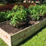 Lend a hand with the Garden of Grace!